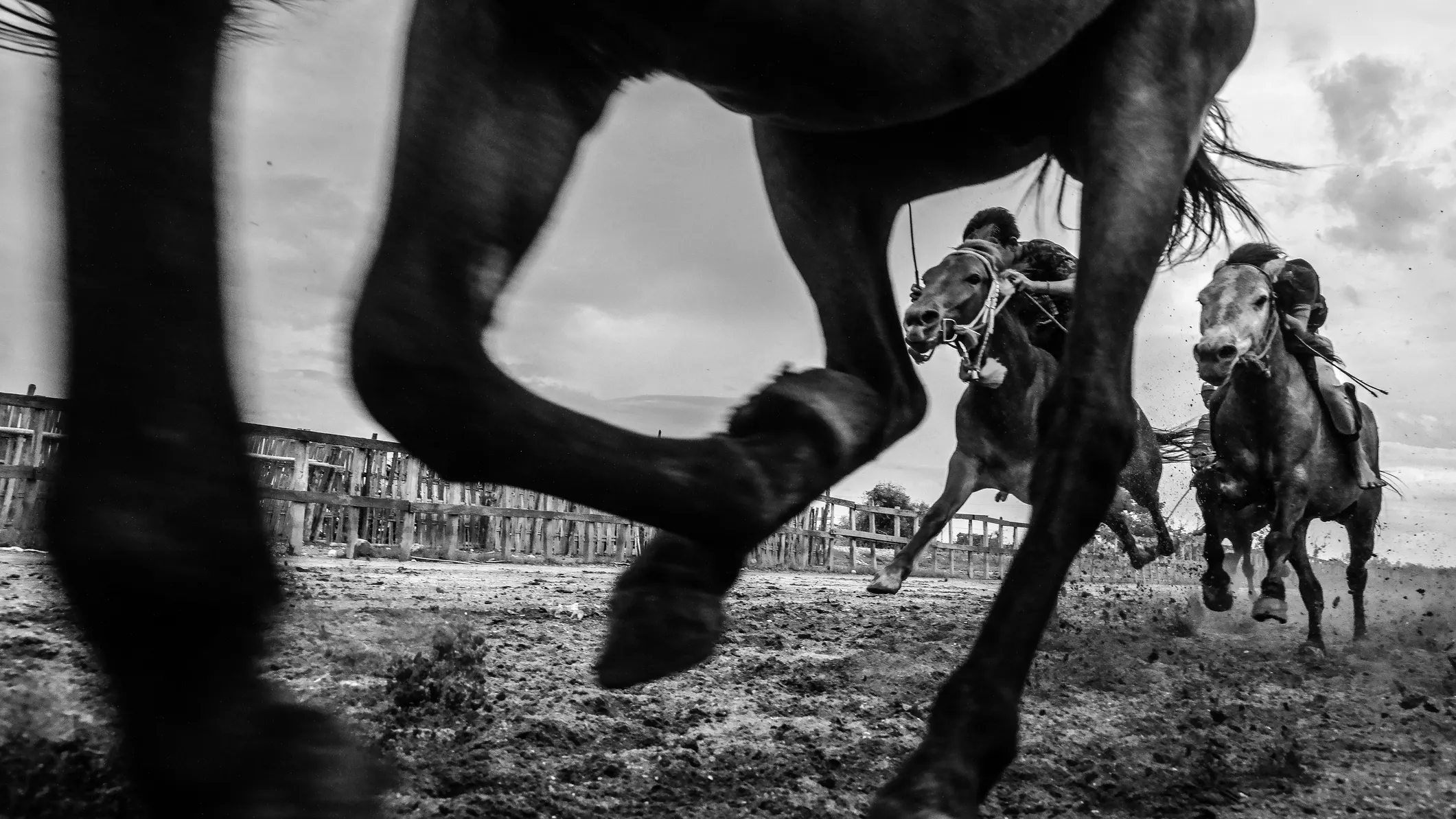 32 Horses Have Died At Santa Anita Racetrack Since December – And That’s Not Uncommon In Horseracing