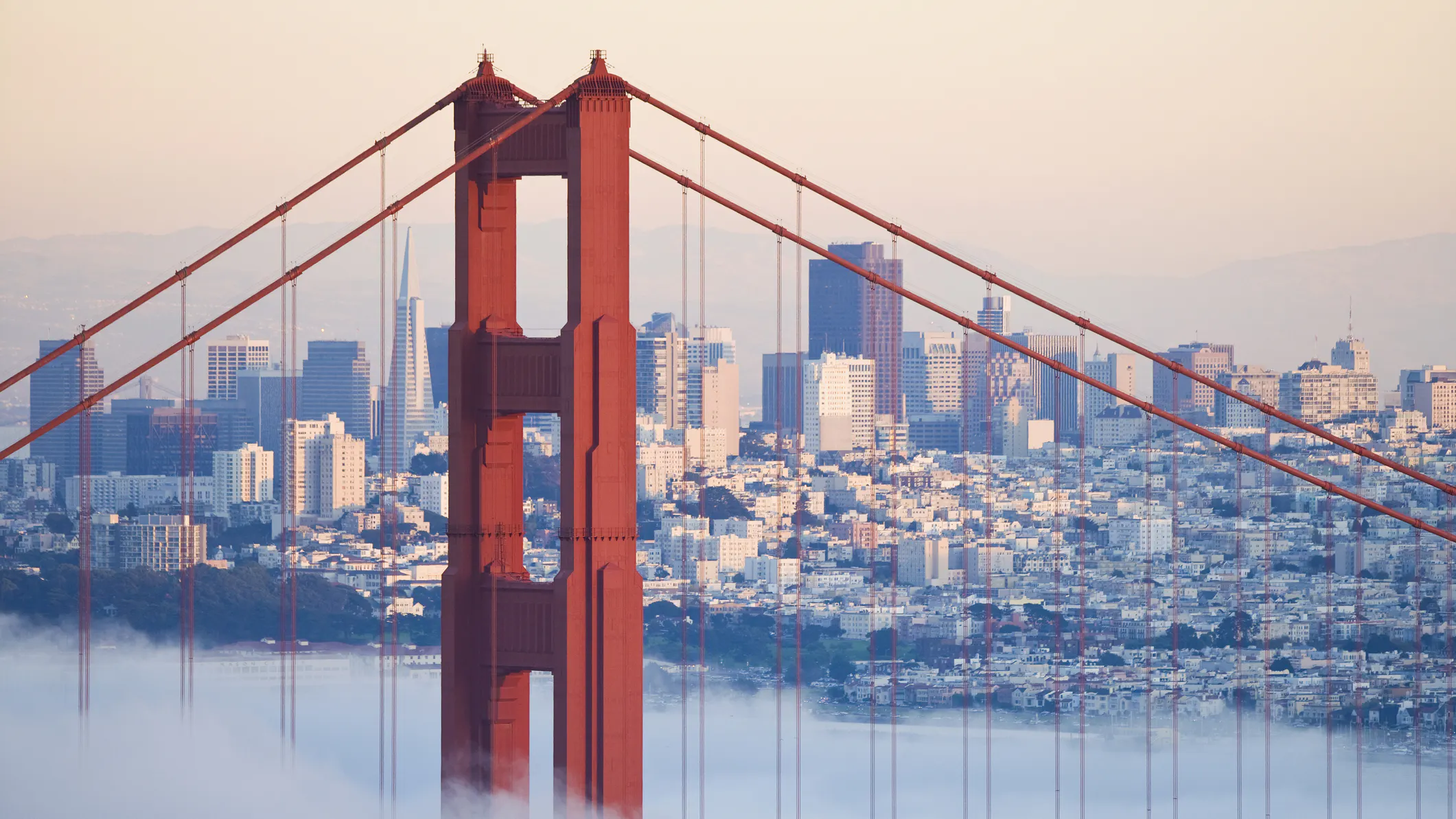 San Francisco Wants To Soften Language For Criminals To Protect Their Feelings