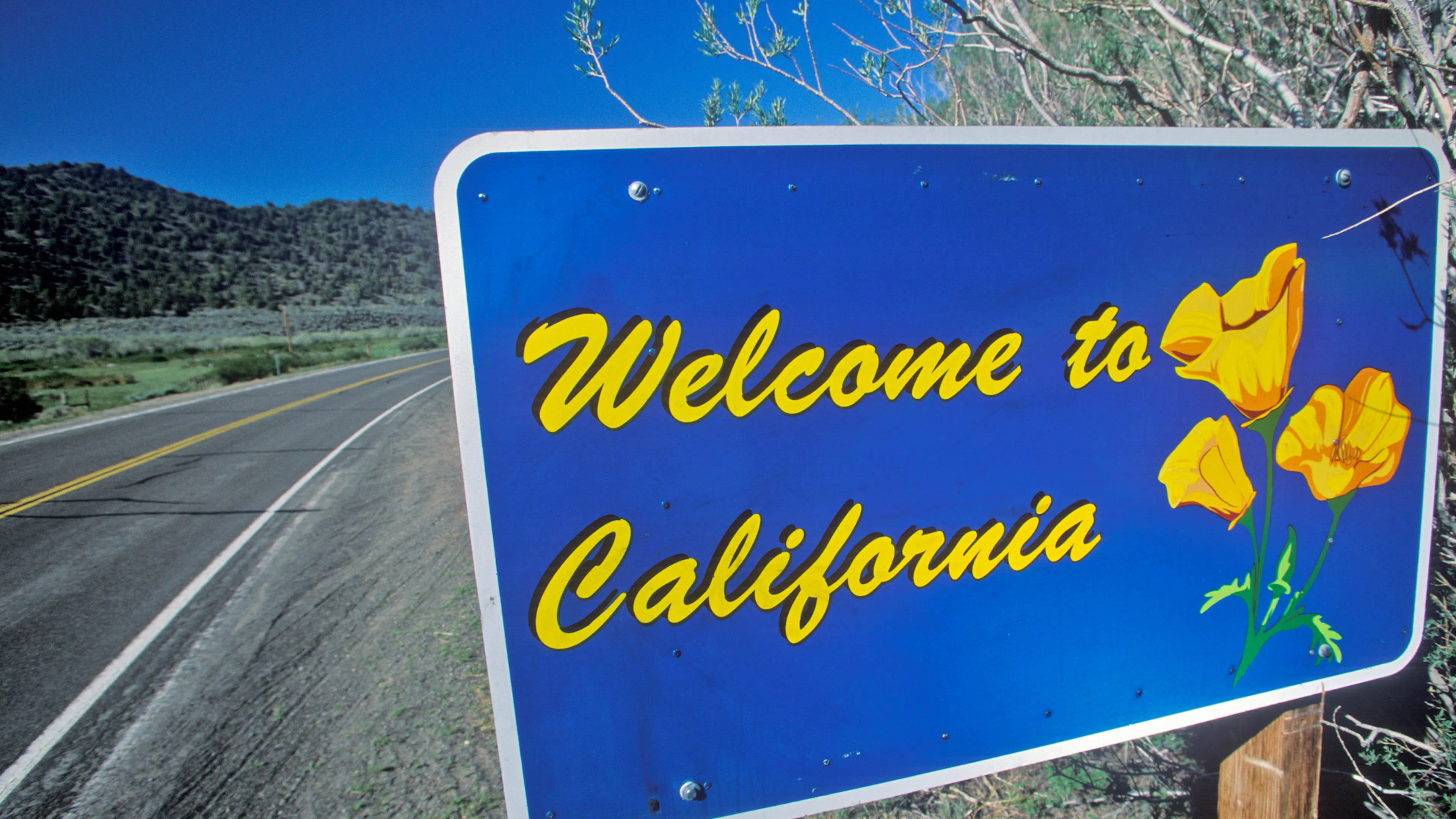 Supreme Court Rejects Lawsuit Against Blue States Over Illegal Immigrant Truck Drivers