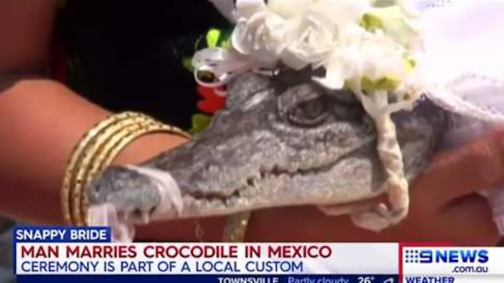 LOVE WINS: Man Marries Pet Crocodile As Part Of Local Tradition