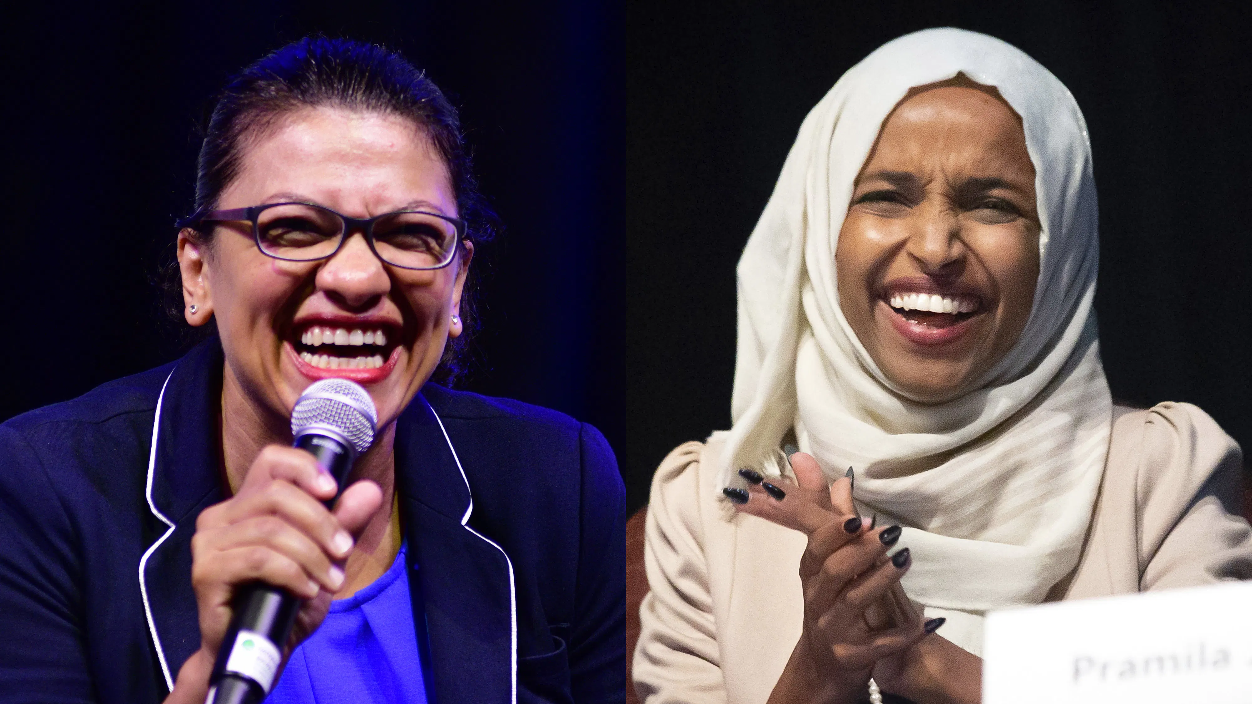 Tlaib, Omar Promote Anti-Semitic Cartoonist’s Work
