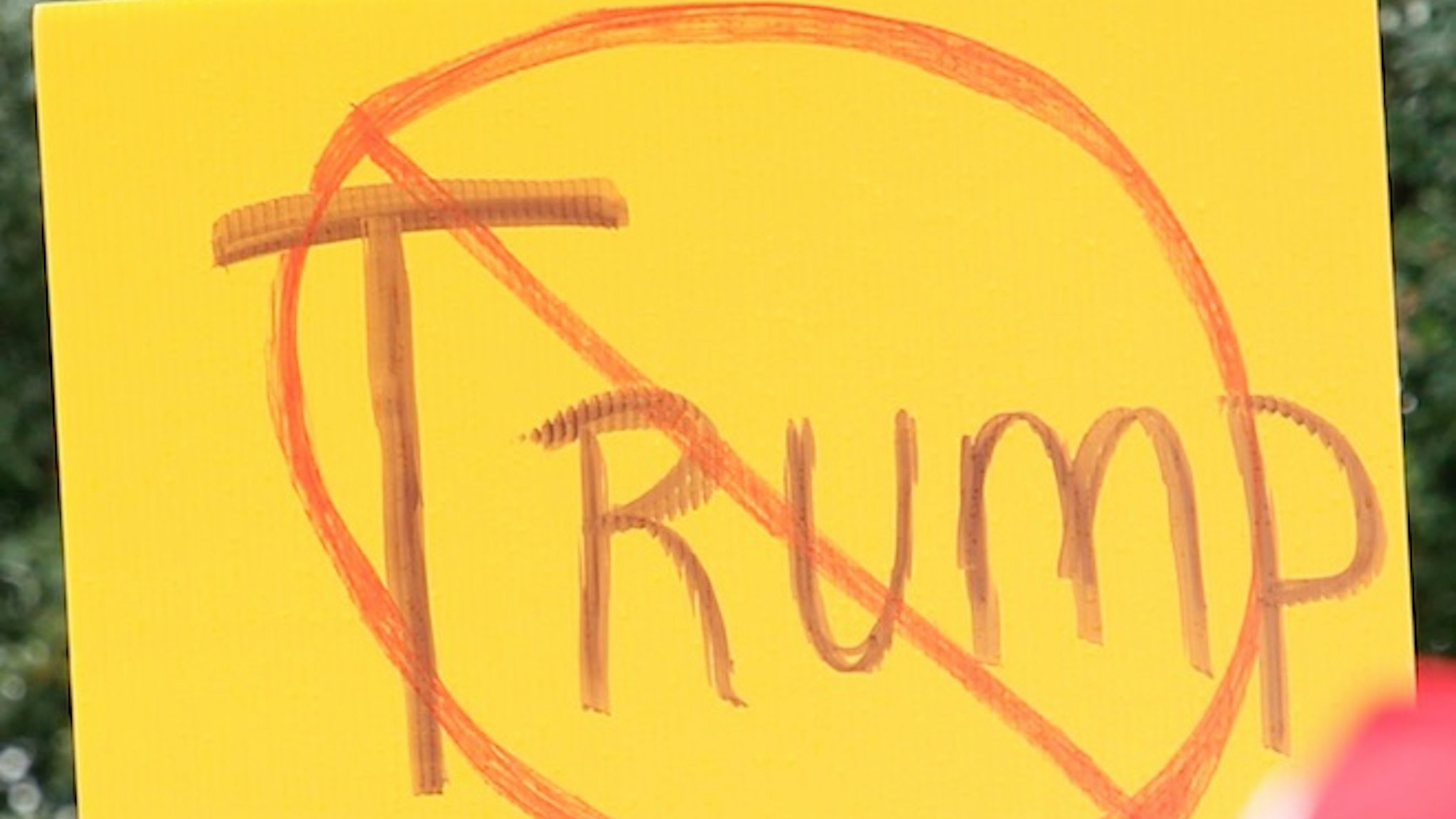 Anti-Trump Sign
