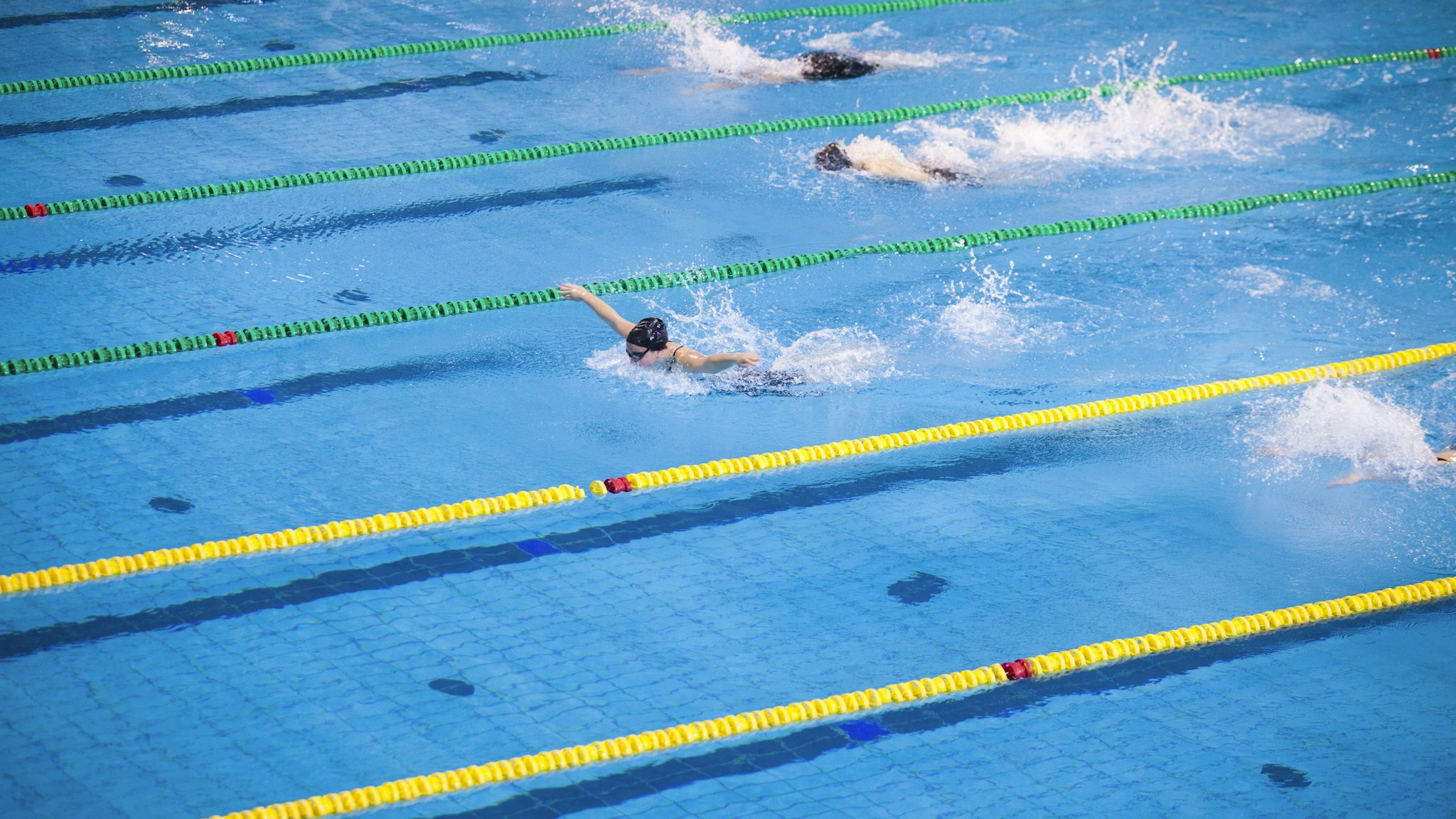 Mid race butterfly stroke swimming race in a olympic size swimmingpool.
