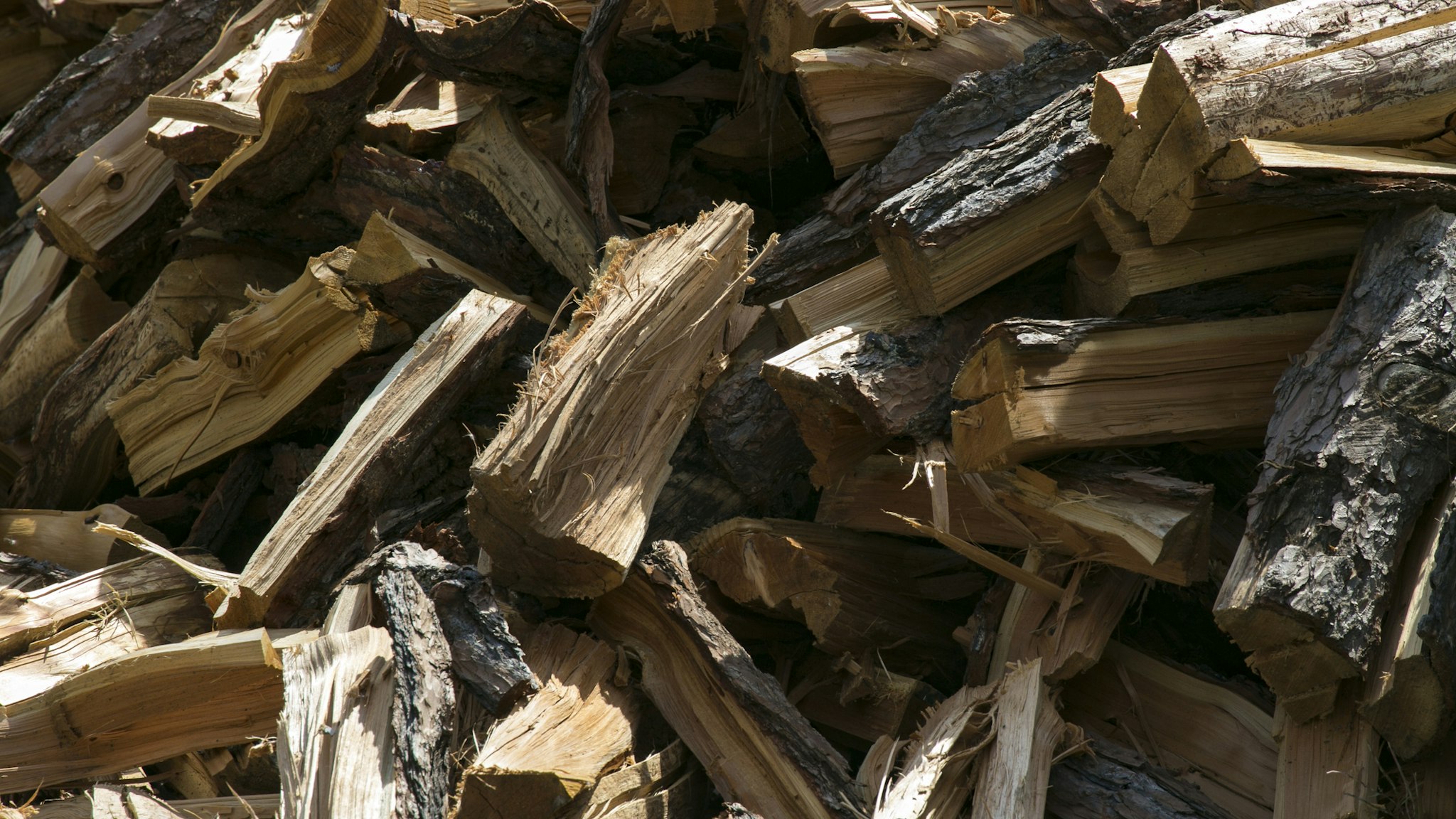 Group of Logs in woodstore - stock photo