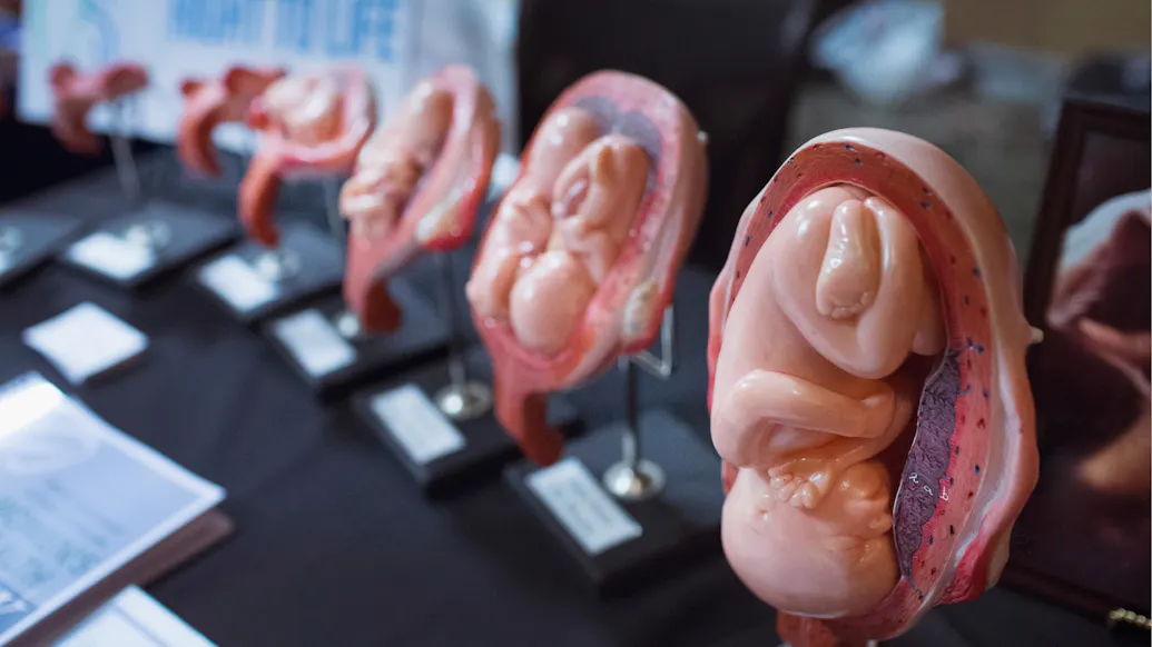 WATCH: Author Brilliantly Deconstructs 4 Arguments Made By Pro-Abortion Activists