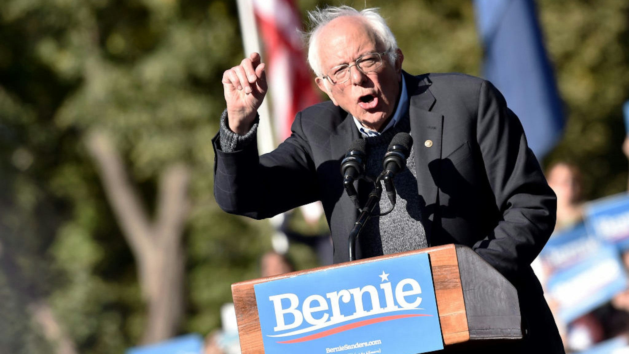 Bernie Sanders speaks during a campaign rally in Queensbridge Park