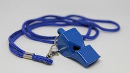 Blue whistle whistle