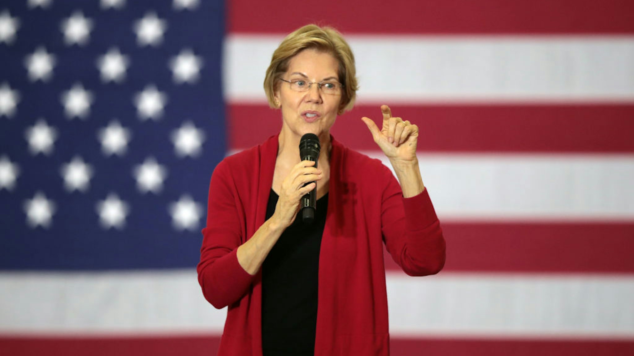 Democratic presidential candidate Sen. Elizabeth Warren (D-MA) speaks to guests during a campaign stop at Hempstead High School on November 02, 2019 in Dubuque, Iowa.