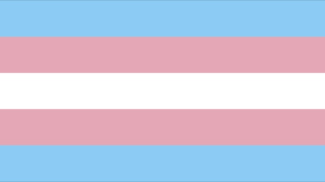 Transgender pride flag -- rectangle, horizontal flag with blue, pink, white, pink, blue stripes.