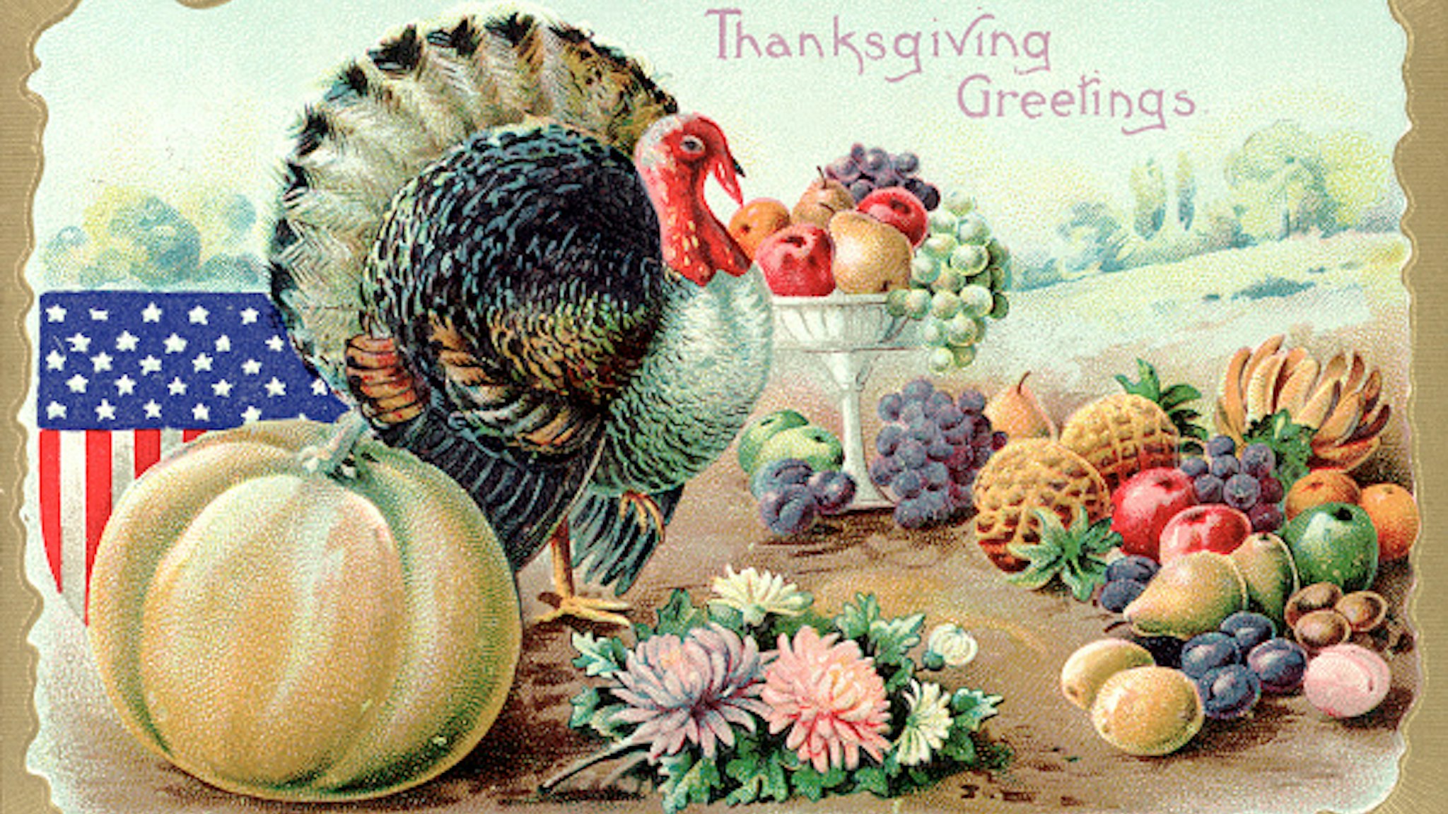 Thanksgiving Greetings Postcard with a Turkey and Fruit