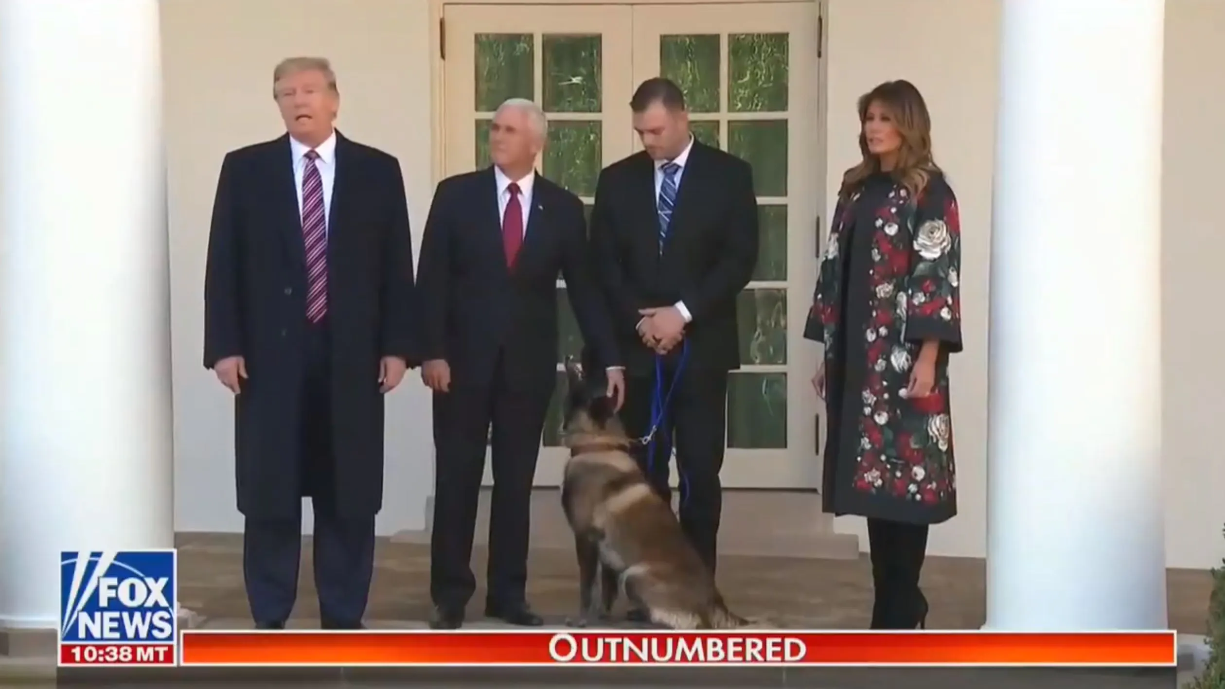 WATCH: Trump Awards Hero Dog Conan For Role In Tracking ISIS Leader Abu Bakr Al-Baghdadi