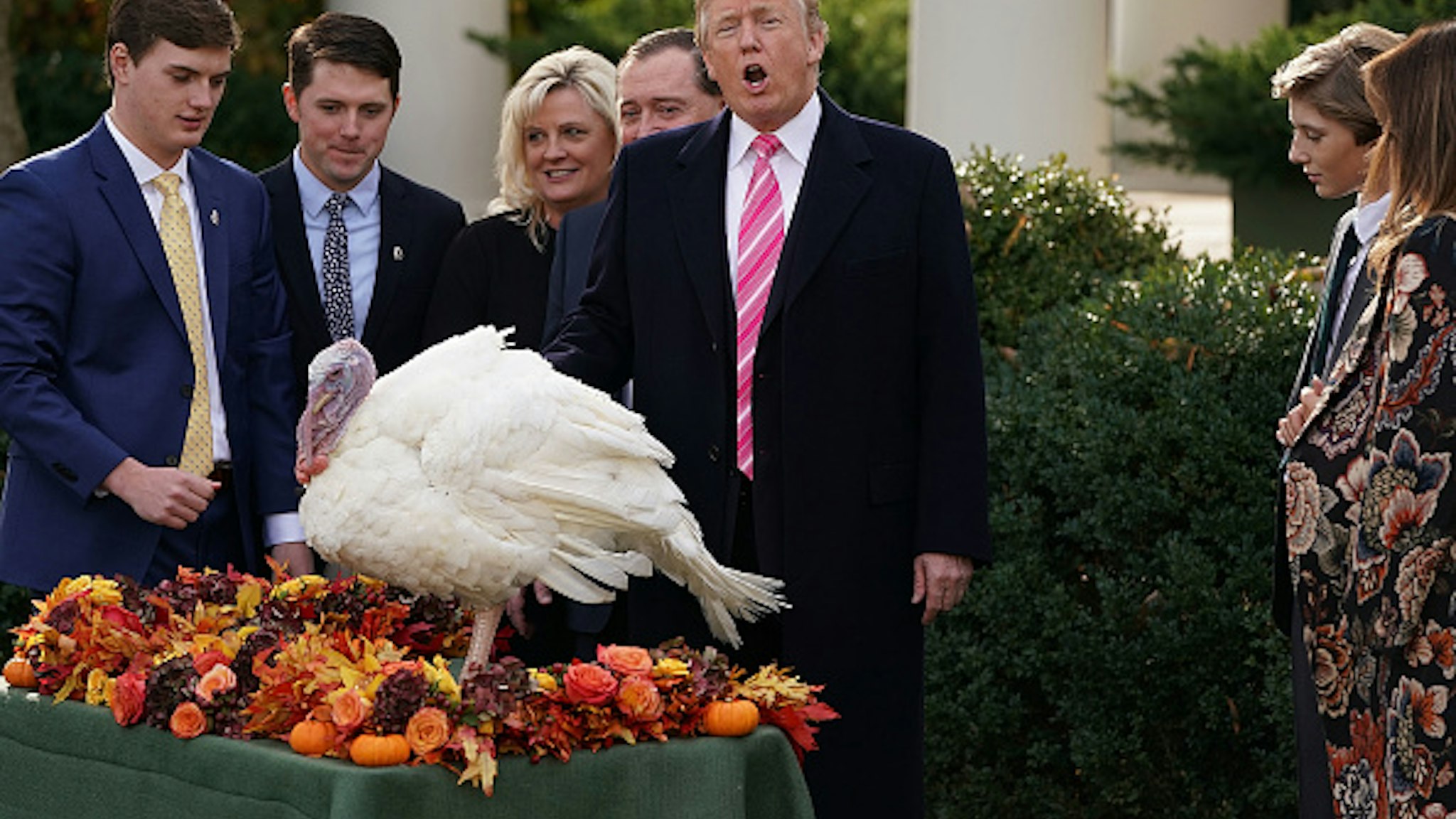 WASHINGTON, DC - NOVEMBER 21: U.S. President Donald Trump pardons the National Thanksgiving Turkey, 'Drumstick,' with National Turkey Federation Chairman Carl Wittenburg and his family in the Rose Garden at the White House November 21, 2017 in Washington, DC. Following the presidential pardon, the 40-pound White Holland breed which was raised by Wittenburg in Minnesota, will then reside at his new home, 'Gobbler's Rest,' at Virginia Tech.