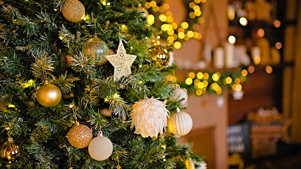 Price Levels And Supply Chains Will Impact Christmas Tree Prices This Year