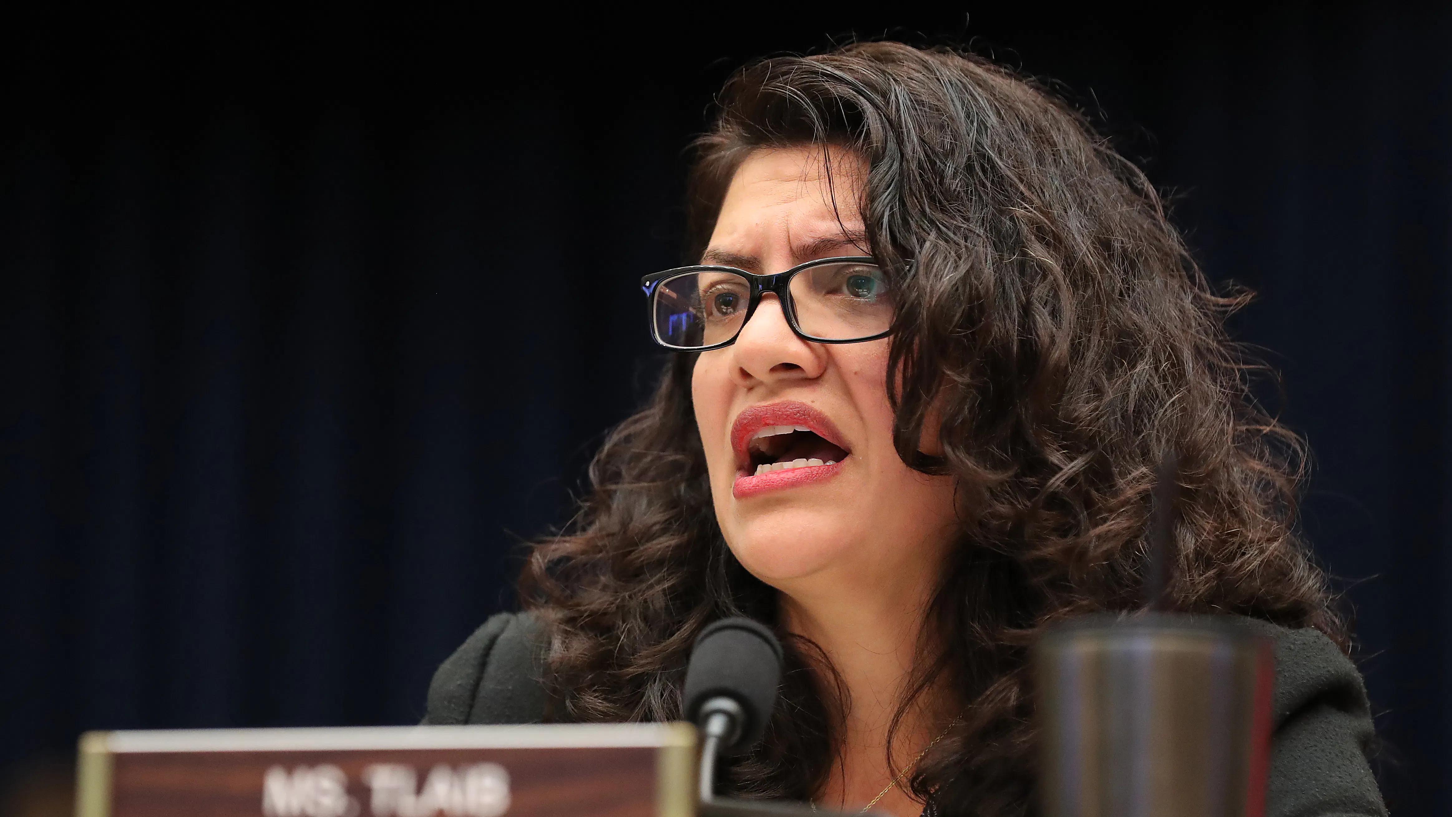 Report: Rep. Rashida Tlaib Headlined Anti-Semitic ‘American Muslims For Palestine’ Conference