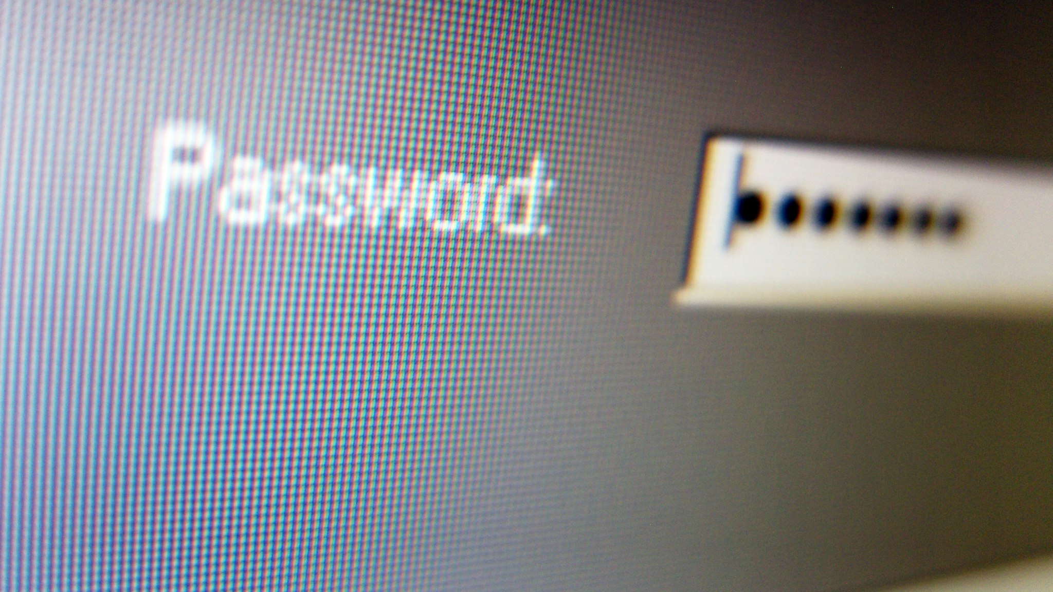 Password entry screen on computer screen.
