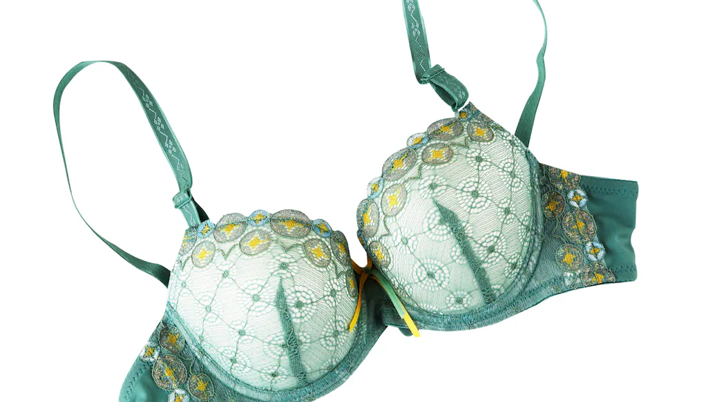 Supreme Court Declines To Hear ‘Free The Nipple’ Case