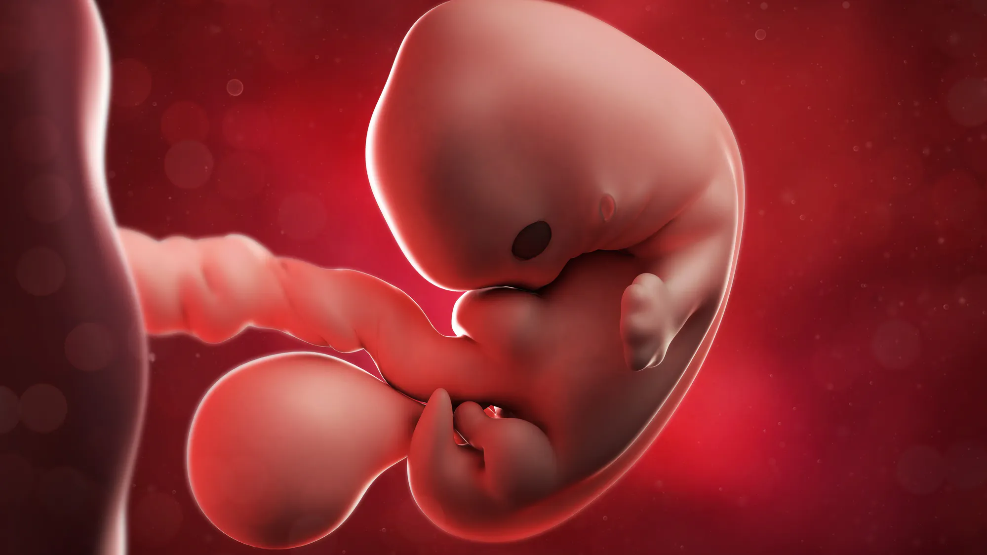 STANTON: The Pro-Abortion Democrats And Their Unscientific Roe-volution