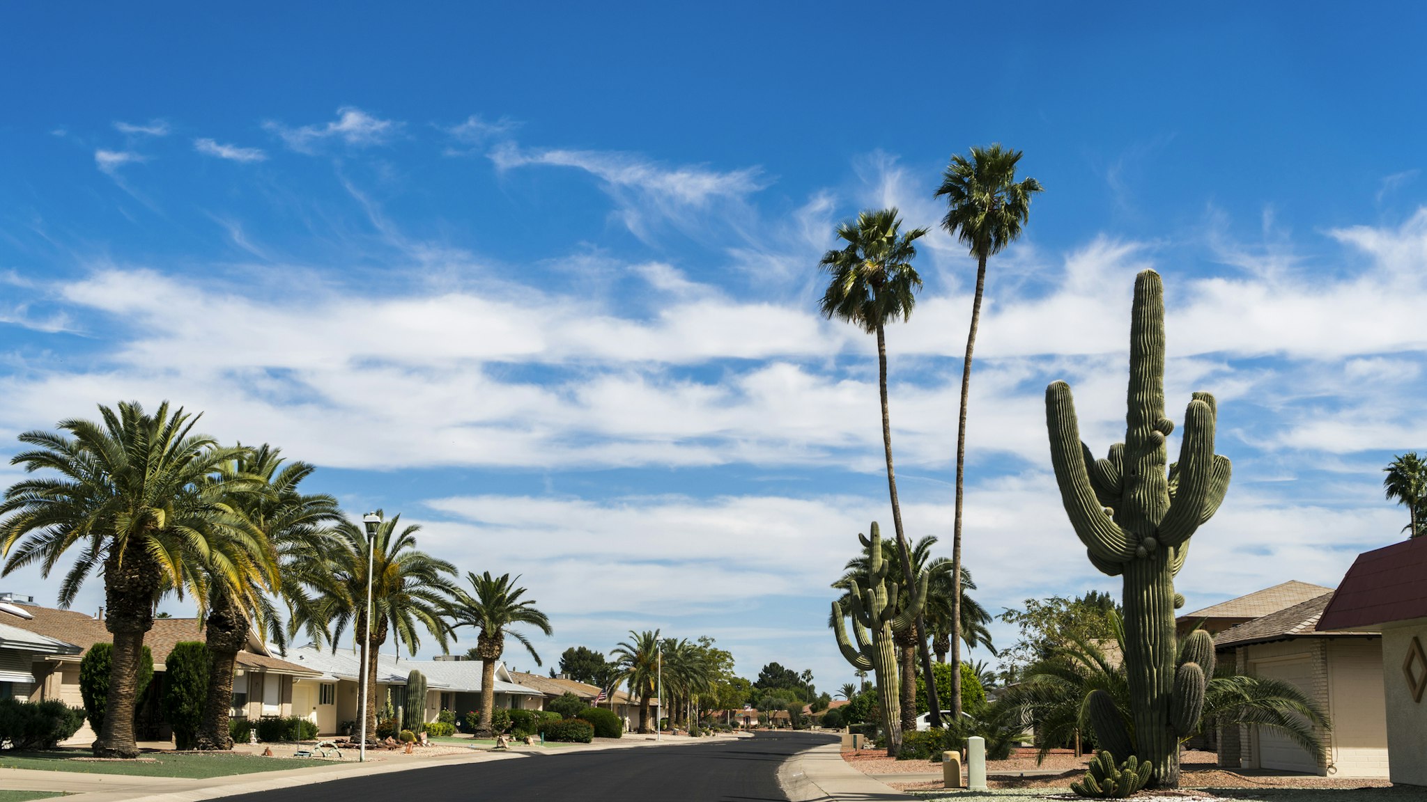Sun City NW of Phoenix Arizona. A community dedicated to a more leisurely lifestyle and unending choices of recreation for the retired, active adult. A community of pristine streets and well maintained gardens.