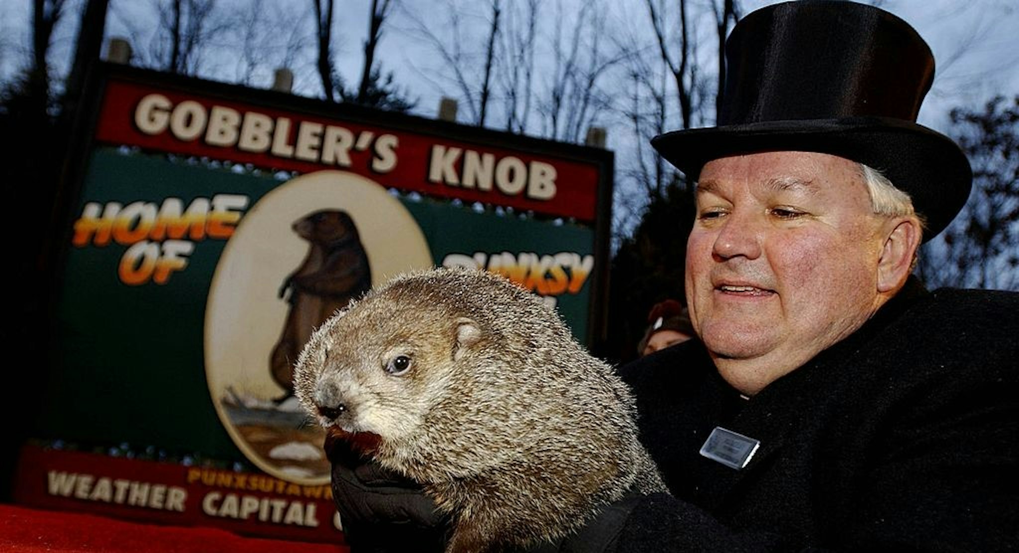 PUNXSUTAWNEY, PA - FEBRUARY 2: Official groundhog handler Bill Deeley holds Punxsutawney Phil on February 2, 2006 in Punxsutawney, Pennsylvania. Every February 2, people gather at Gobbler's Knob, a wooded knoll just outside of Punxsutawney to watch Punxsutawney Phil look for his shadow. If he sees his shadow, it means six more weeks of winter. If he does not see his shadow, it means spring is just around the corner. The legend of Groundhog Day is based on an old Scottish couplet: "If Candlemas Day is bright and clear, there'll be two winters in the year." (Photo by J