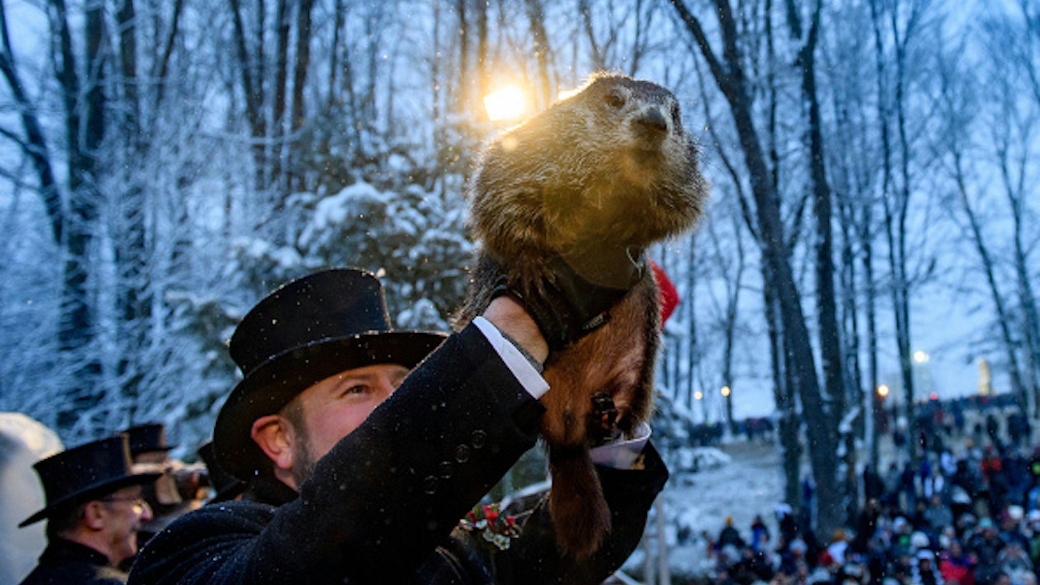 PUNXSUTAWNEY, PA - FEBRUARY 02: Groundhog handler AJ Dereume holds Punxsutawney Phil, who did not see his shadow, predicting an early or late spring during the 134th annual Groundhog Day festivities on February 2, 2020 in Punxsutawney, Pennsylvania. Groundhog Day is a popular tradition in the United States and Canada. A crowd of upwards of 20,000 people spent a night of revelry awaiting the sunrise and the groundhog's exit from his winter den. If Punxsutawney Phil sees his shadow he regards it as an omen of six more weeks of bad weather and returns to his den. Early spring arrives if he does not see his shadow, causing Phil to remain above ground.