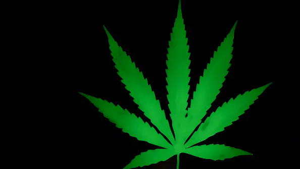 Pot-Smoking Parents Name Children After Marijuana Plants. Internet Applauds It.