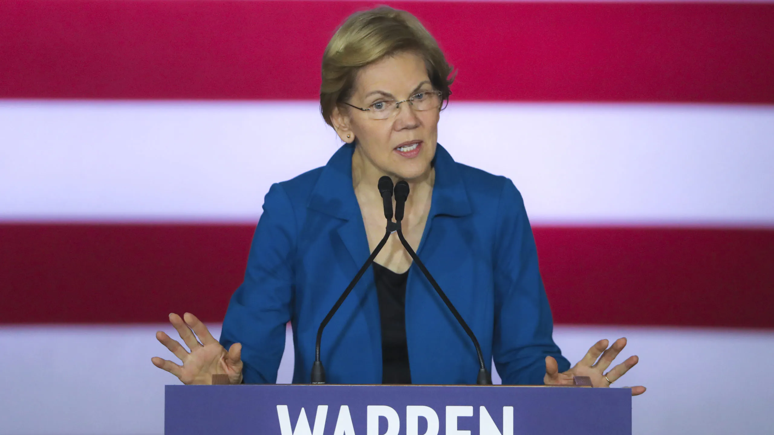 Warren Panics After NH Primary: Factions May ‘Burn Down’ Democrat Party