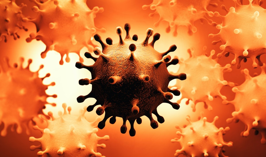 [Image: Coronavirus-9.jpg?auto=format&fit=crop&i...=546&w=970]