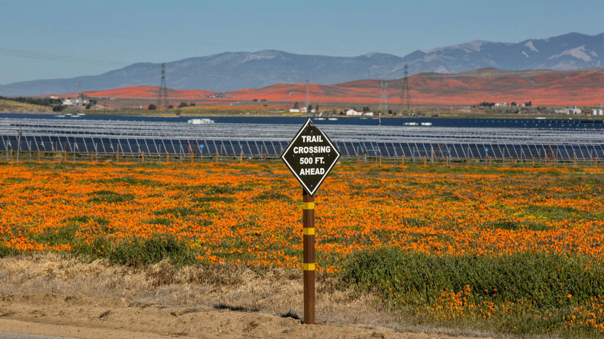 An array of solar panels near the Antelope Valley Poppy Preserve is viewed on March 31, 2019, near Lancaster, California.