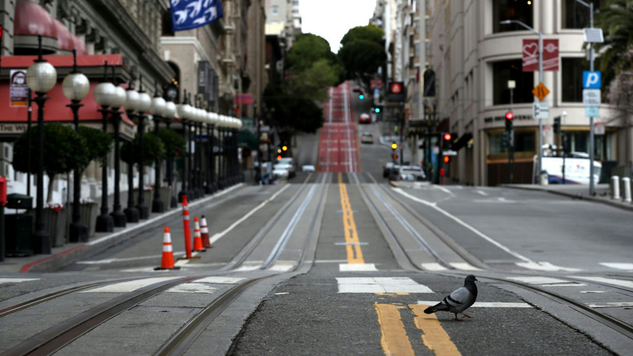 A pigeon crosses an empty Powell Street during the coronavirus pandemic on March 30, 2020 in San Francisco, California.
