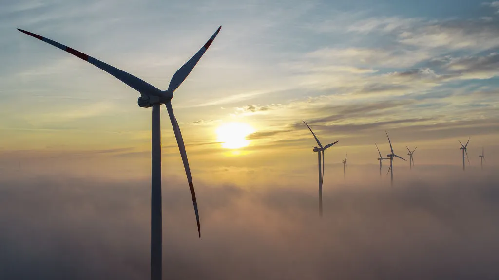 Drug Dealers Are Peddling Environmentally-Conscious ‘Woke Coke’ At Four Times Higher Than Street Prices