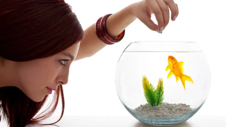 Media Blame Trump for Man’s Death After Ingesting Fish Tank Cleaner