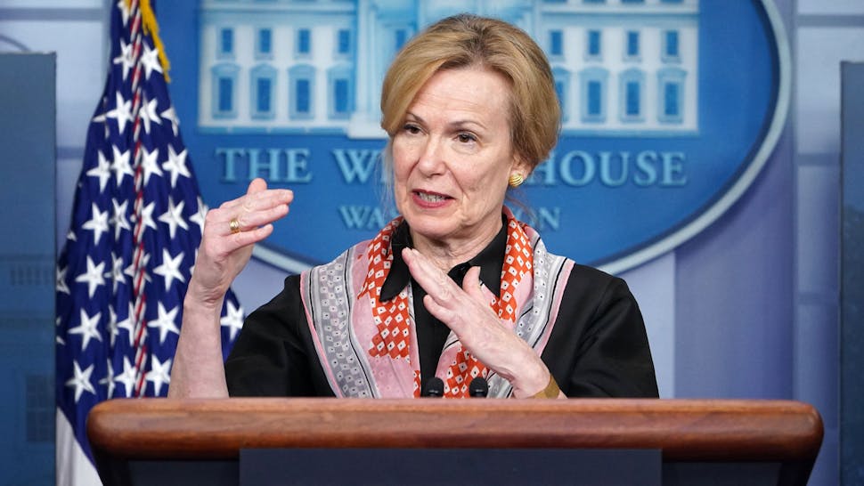 Response coordinator for White House Coronavirus Task Force Deborah Birx speaks during the daily briefing on the novel coronavirus, COVID-19, in the Brady Briefing Room at the White House on April 2, 2020, in Washington, DC.