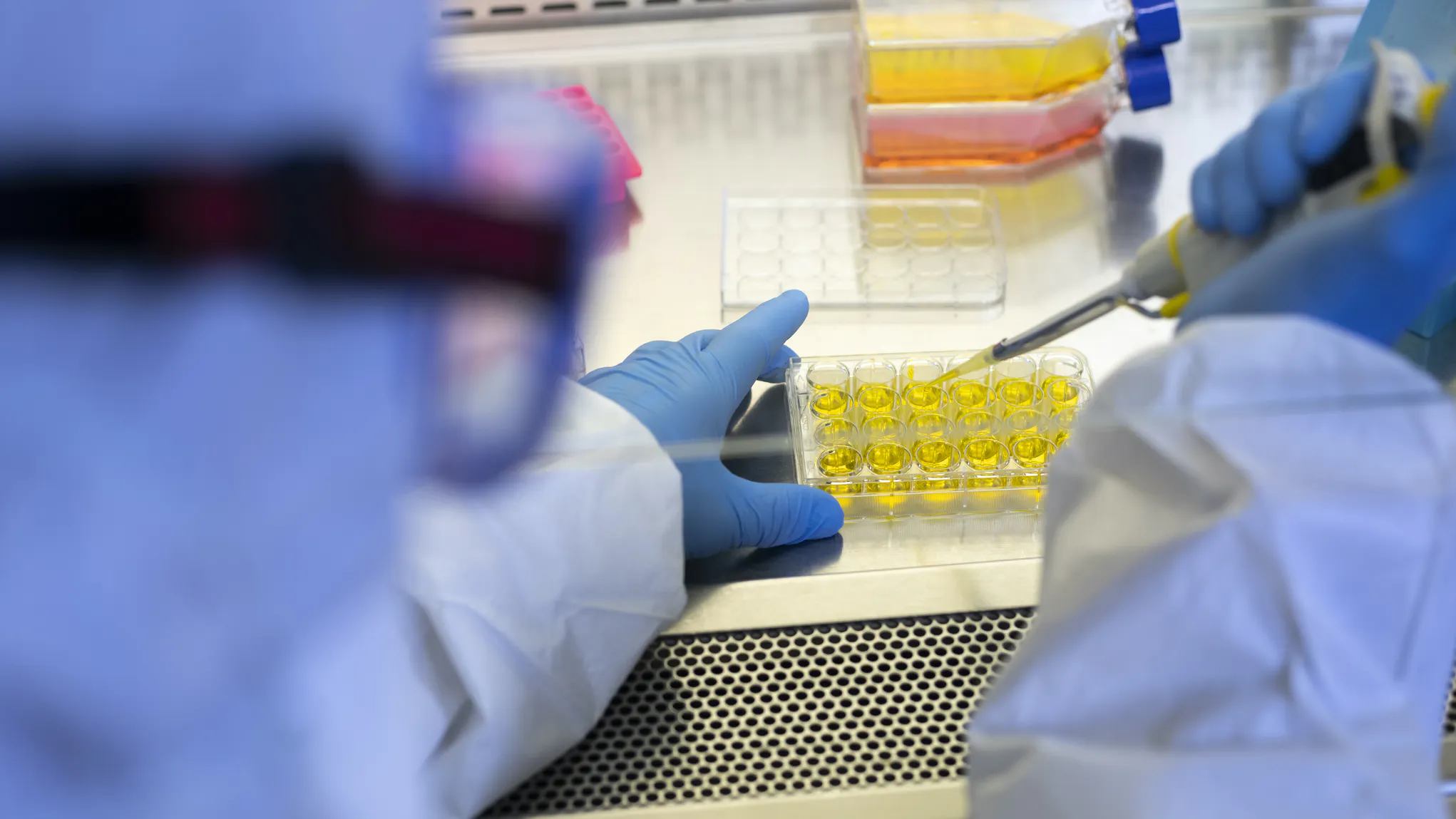 L.A. County Study: Antibody Testing Suggests COVID-19 Infections ‘Far More Widespread,’ Death Rate ‘Much Lower’ Than Thought