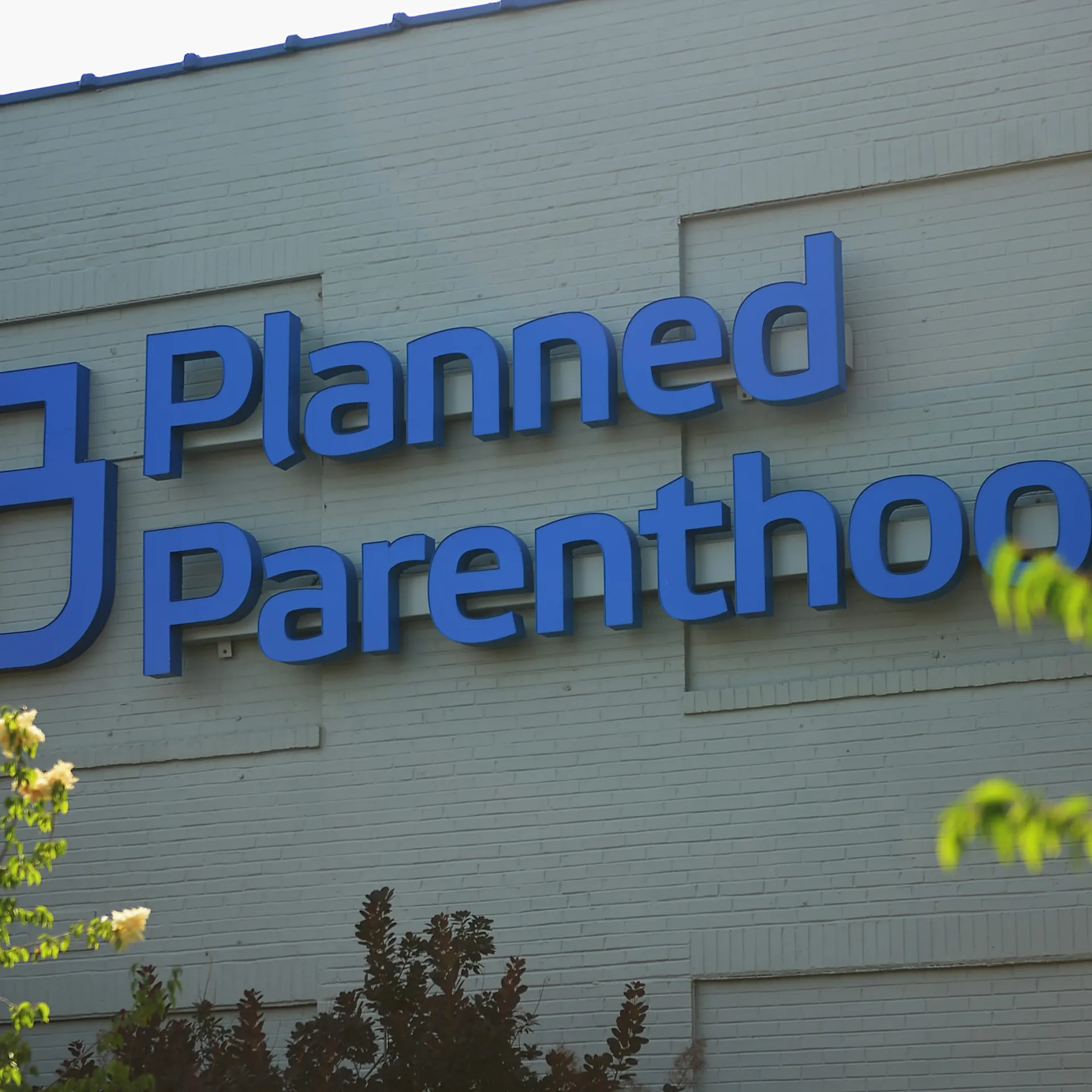 WALSH: A Shutdown That Could Save A Million Lives Every Year