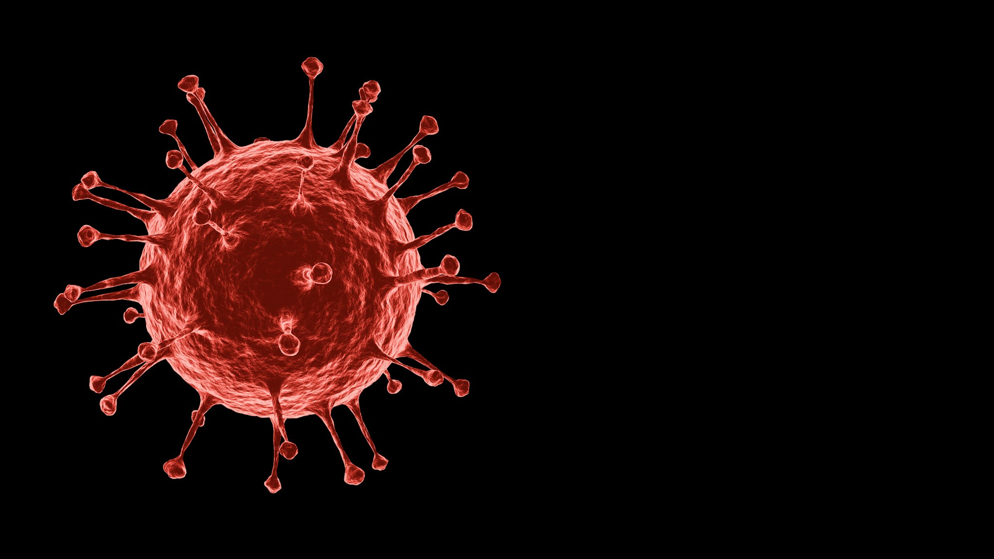 3D rendering Microscopic illustration of the spreading 2019 corona virus or Covid-19 that was discovered in Wuhan, infection of viruses, pandemic, outbreak and epidemic of disease