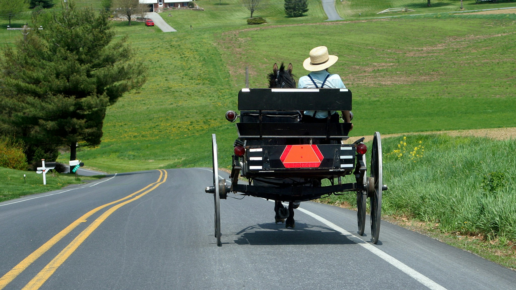 A man driving an Amish buggy down a sloping road - stock photo An open Amish Buggy makes its way to town.