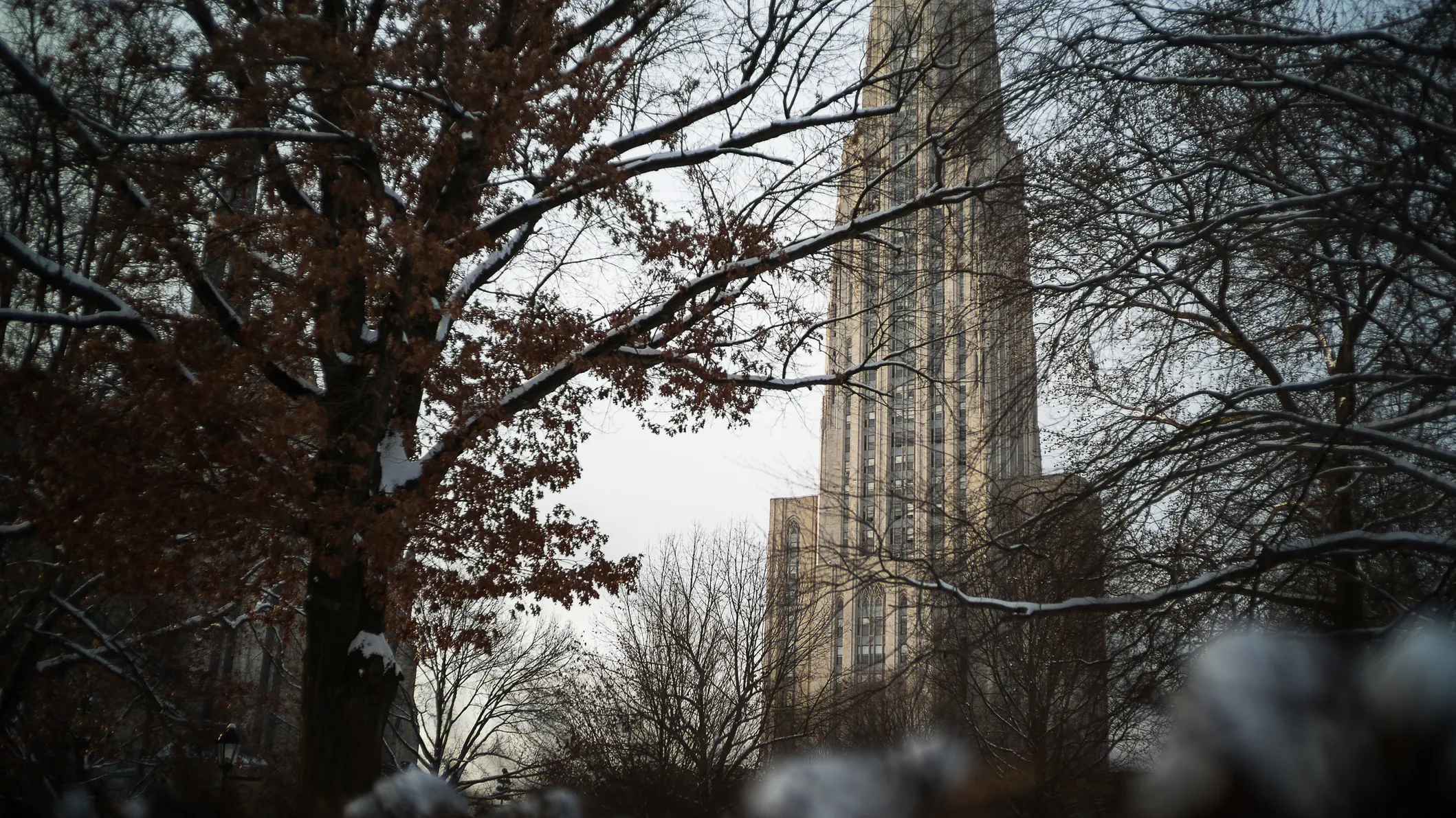 University Where Polio Vaccine Was Created Says They Have Potential Vaccine For Coronavirus