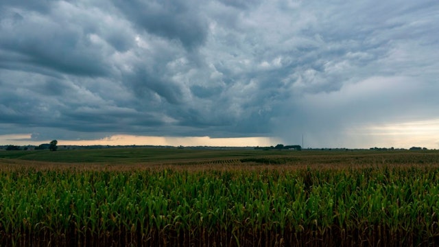 A rain storm is seen over a corn field in Oskaloosa, Iowa on August 15, 2019. (Photo by Alex Edelman / AFP)