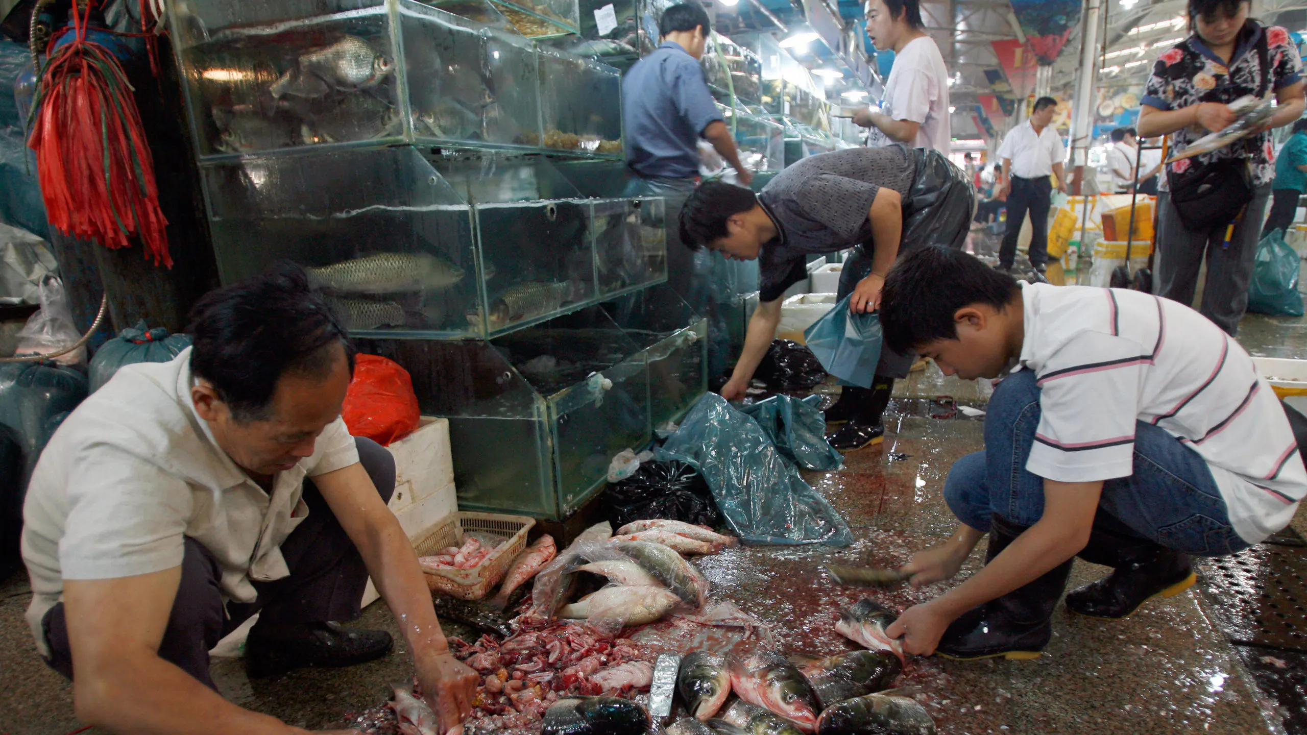 Bloomberg Publishes Gushing Article About China’s ‘Wet Markets,’ Compares Appeal To Farmers Markets