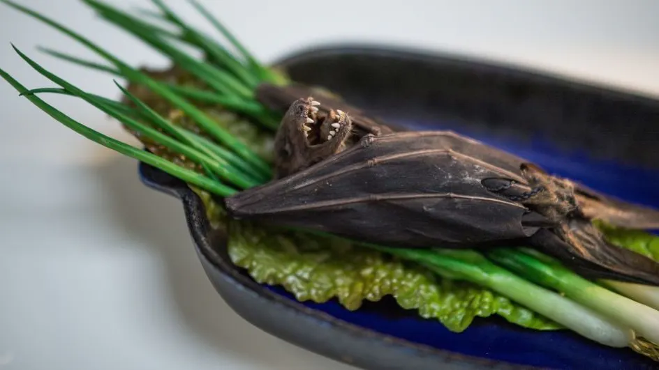 ‘Stop Eating Bats!’: Sen. Lindsey Graham Blasts Wet Markets In China