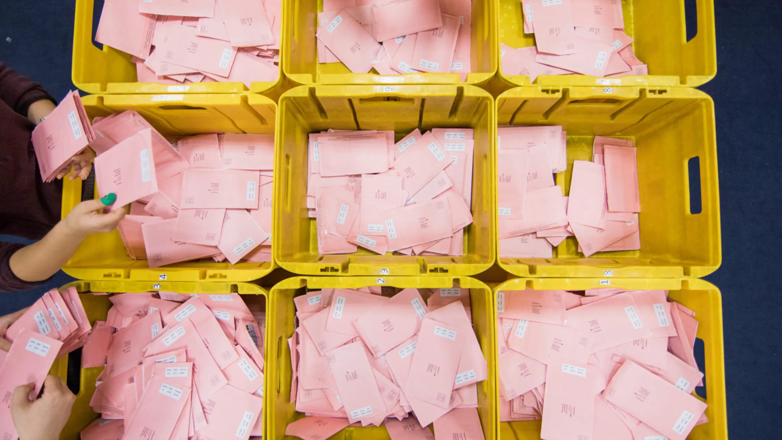 True The Vote Founder Talks Fraud And Frighteningly Lax Security Amid The Push For Mail-In Voting