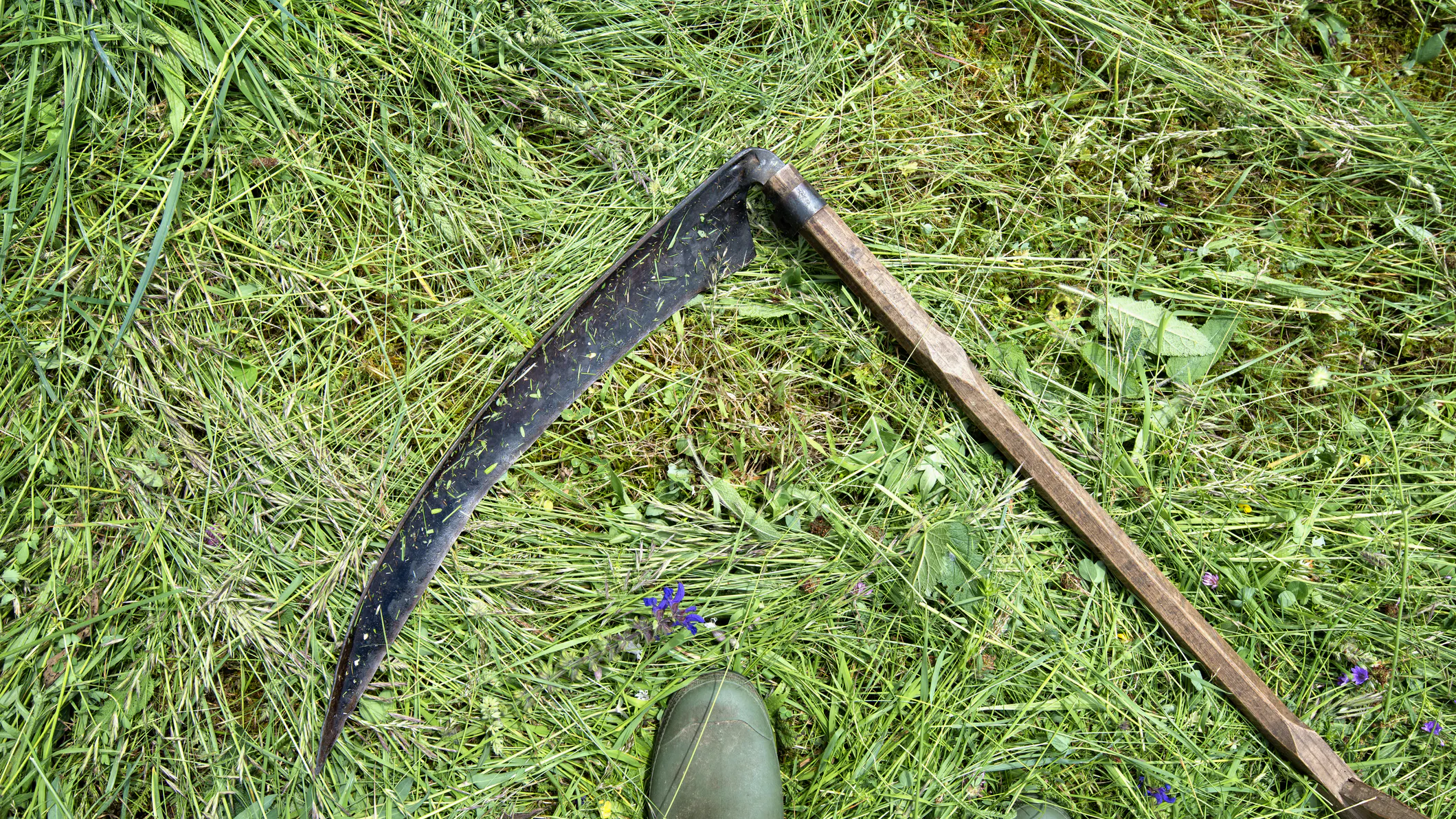 Iranian Father Beheads 13-Year-Old Daughter In ‘Honor Killing’