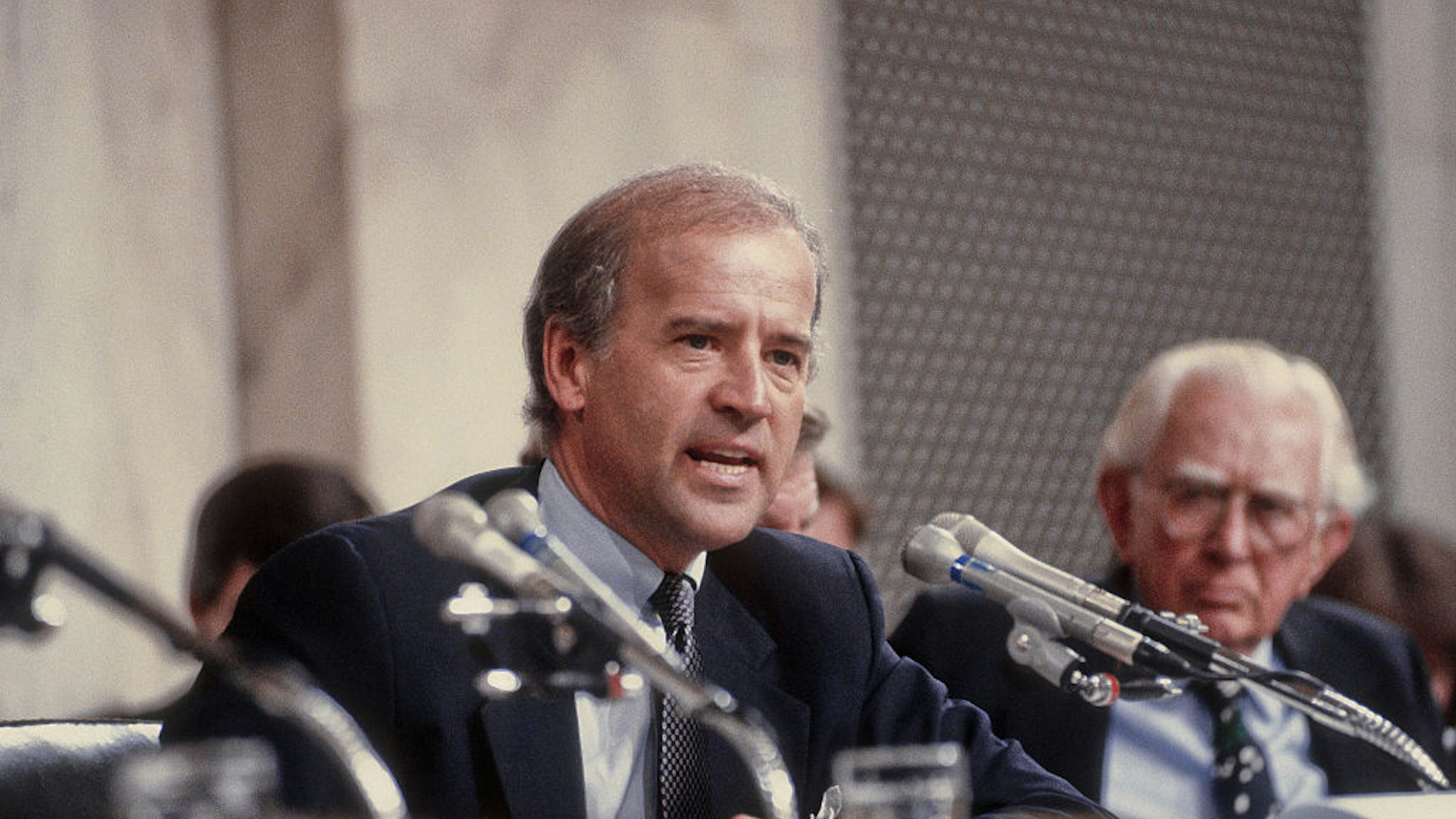 Biden 1991