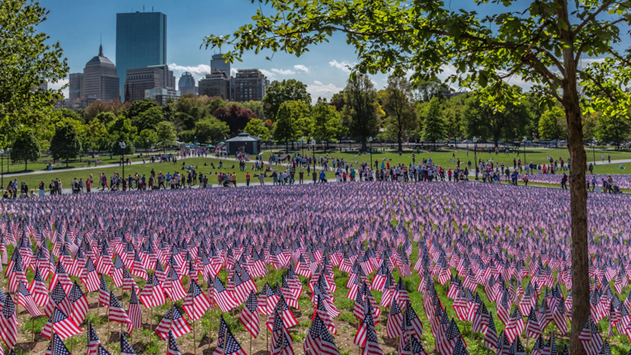 US flags on the Boston Common ground for Memorial day celebrations in downtown Boston.