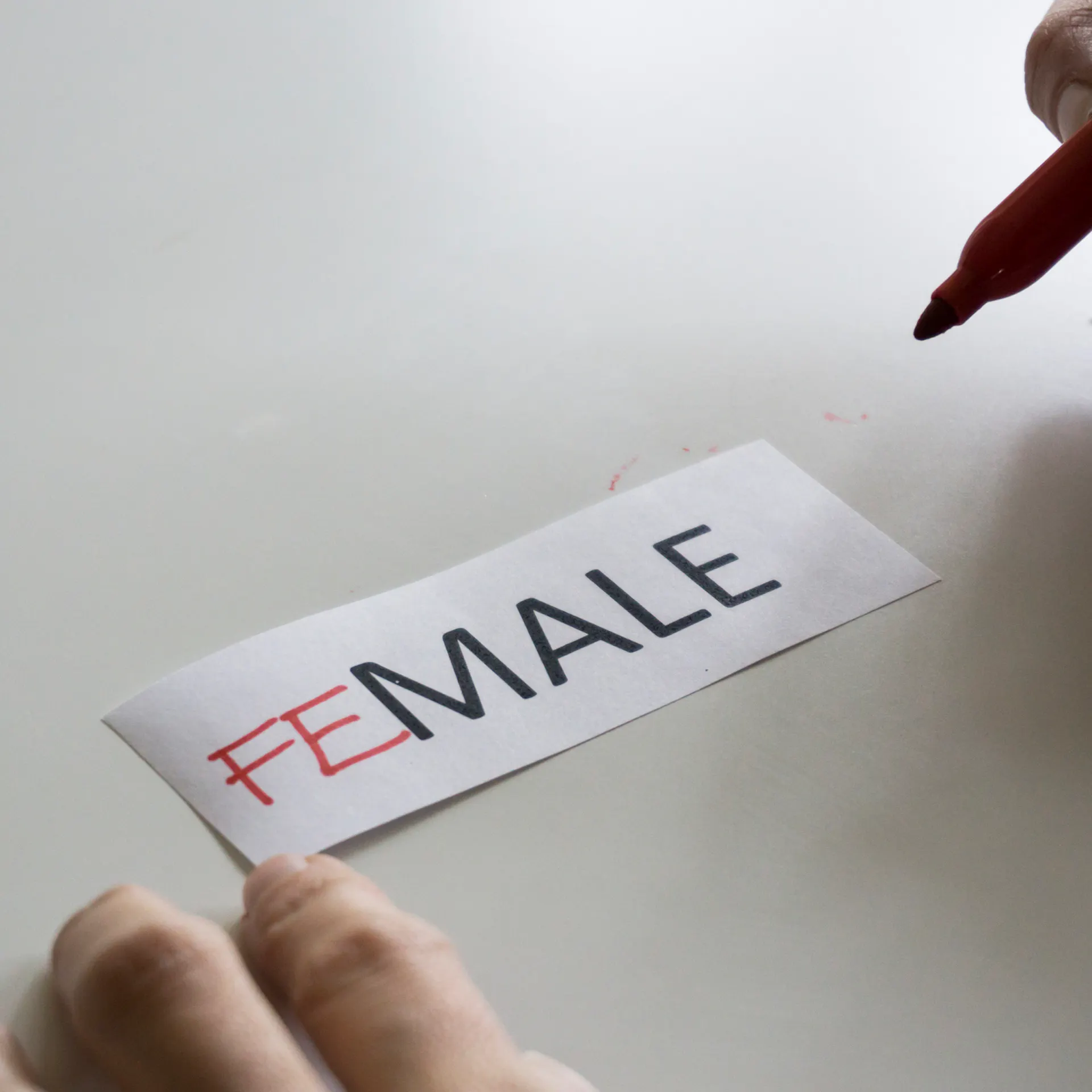 WALSH: Media Matters Accuses Us Of ‘Demeaning’ Males By Calling Them Male