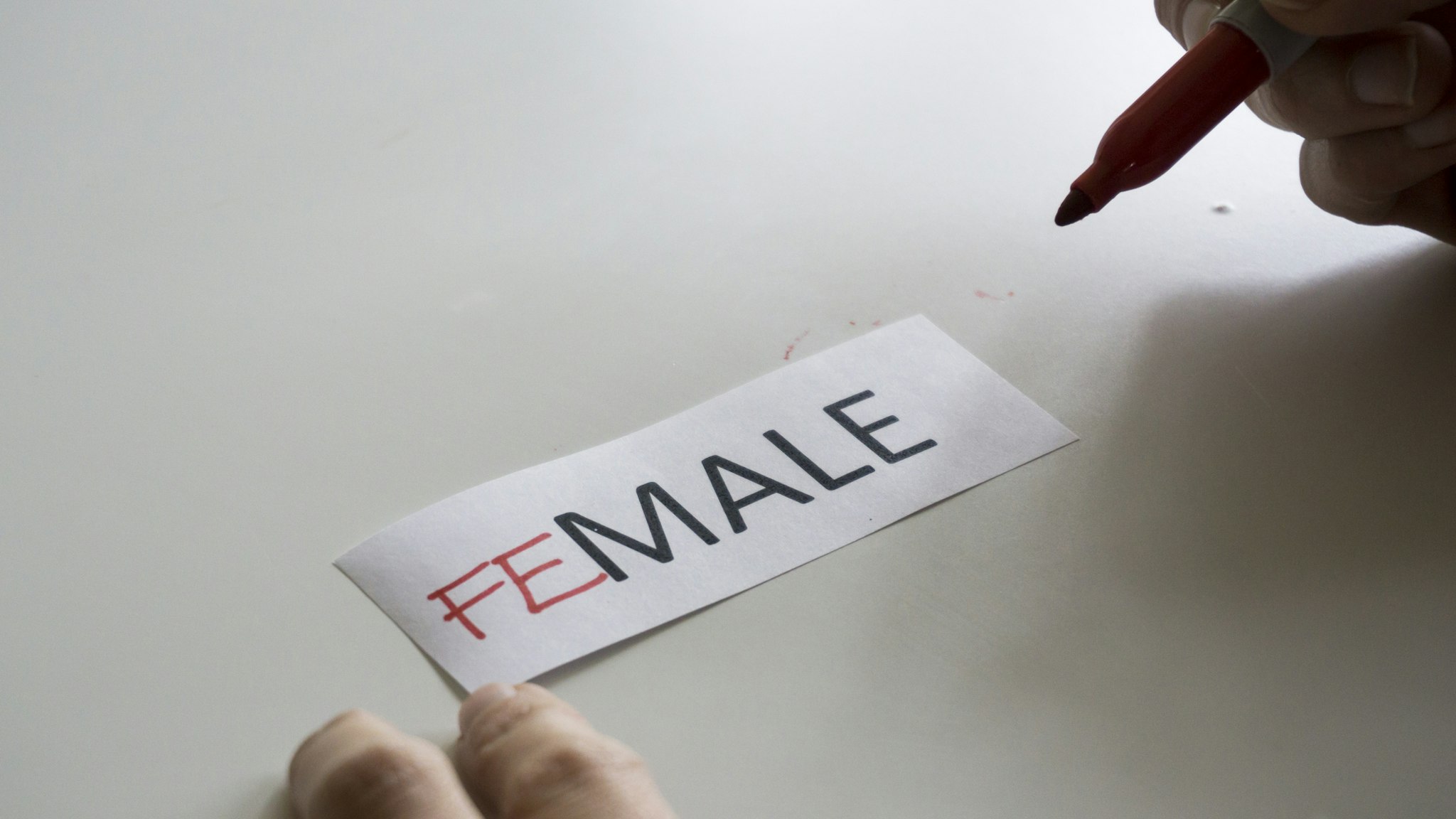 The word MALE, with the letters FE added to spell FEMALE - stock photo