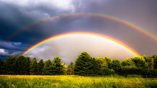 ‘IT’S SOOOOOO BEAUTIFUL!’ ‘Double Rainbow Guy’ Dies At 57