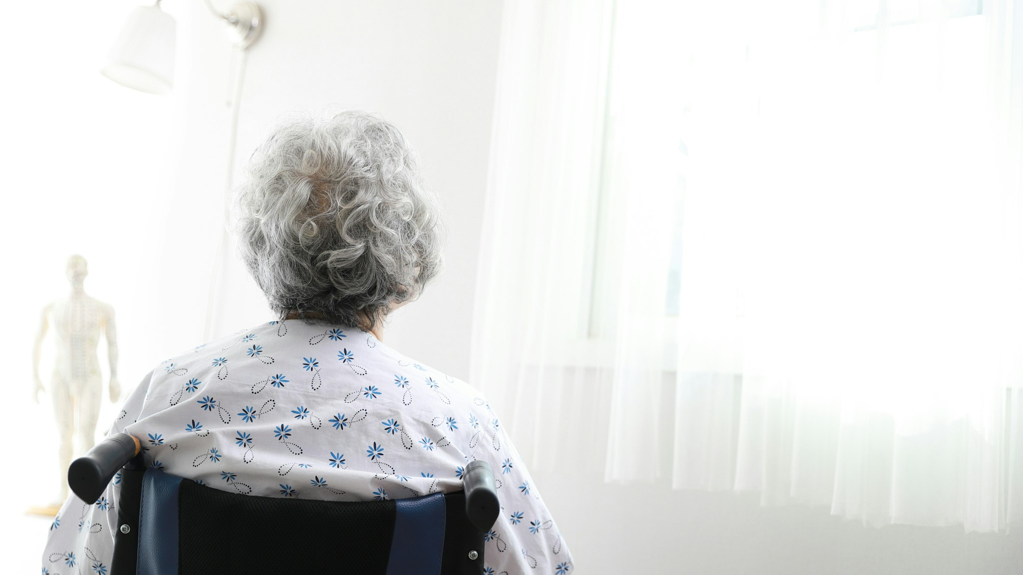 Senior woman in wheelchair,rear view - stock photo