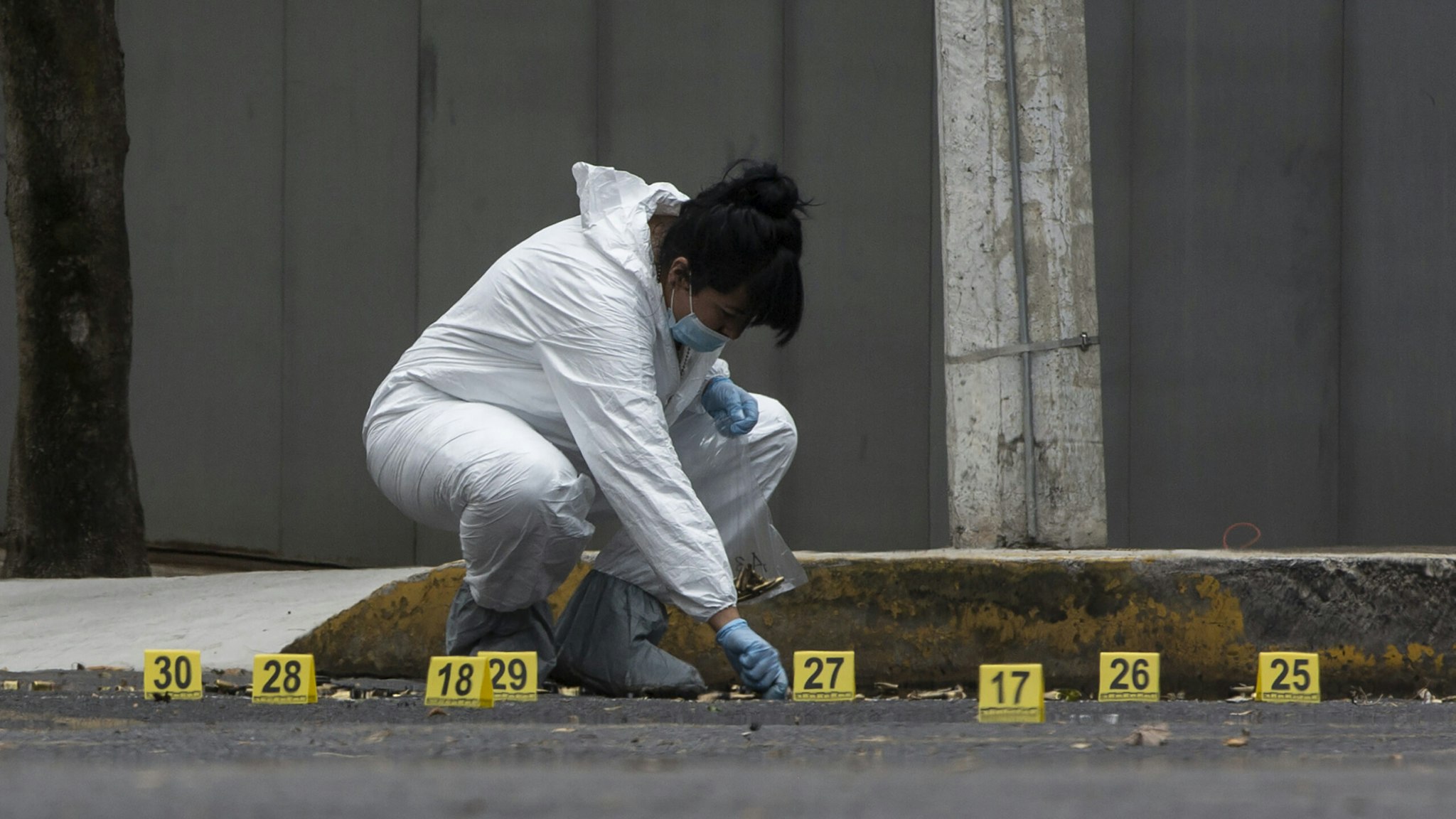 MEXICO CITY, MEXICO - JUNE 26: An expert of the Mexico City government collects bullets from the place where the attack against the Mexico City Police Chief Omar García Harfuch occurred on June 26, 2020 in Mexico City, Mexico. This morning Security Secretary of Mexico City suffered an attack that has been attributed to the Cartel Jalisco Nueva Generacion. Harfuch and his team received medical attention and are reported out of danger but 3 people died in the shootout (2 guards, 1 attacker and a civlian) and 12 were taken under police custody. (Photo by Cristopher Rogel Blanquet/Getty Images)