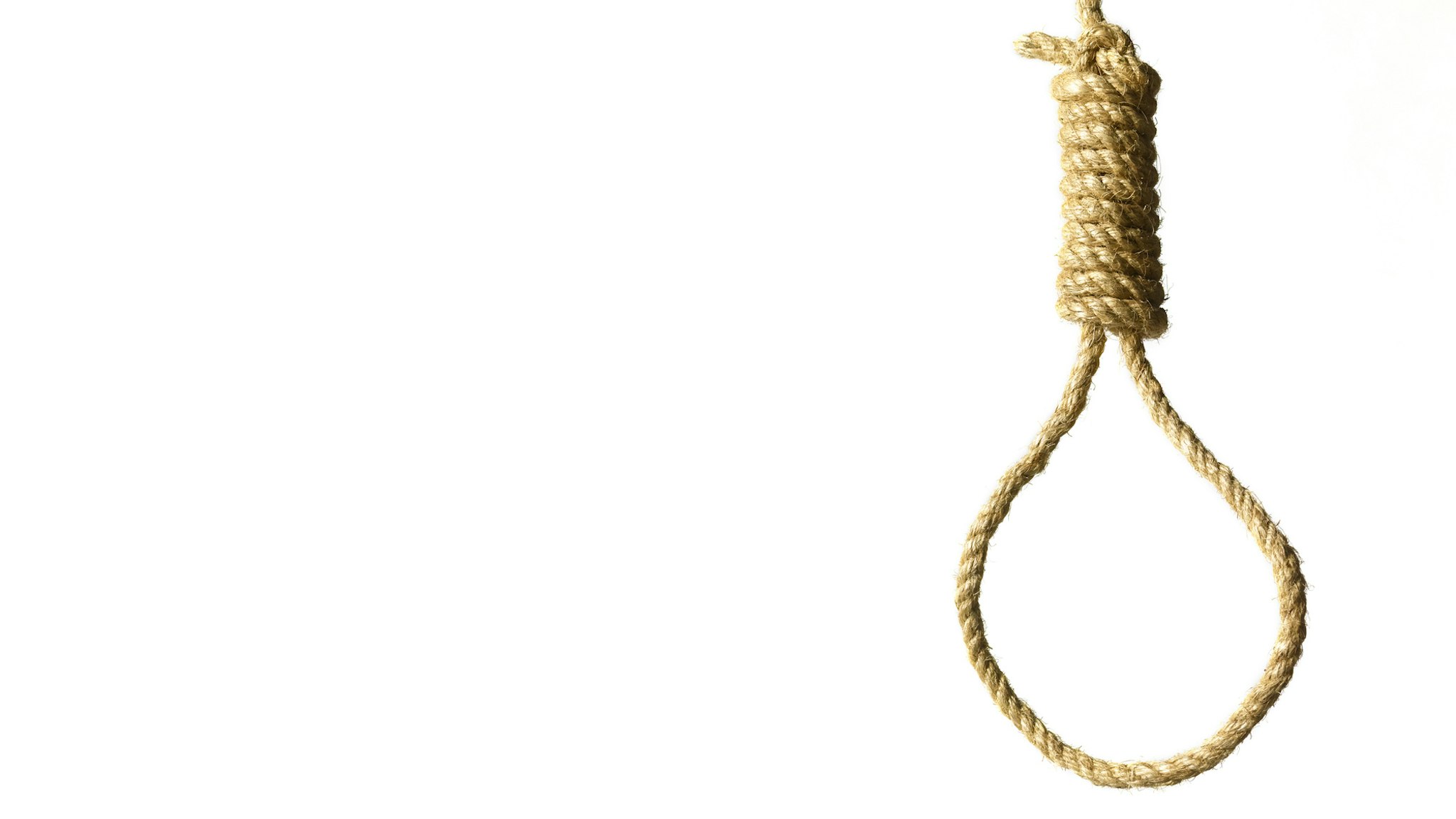 Hangman's noose on white background and copy space - stock photo